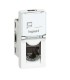 کیستون شبکه cat6 لگراند مدل 76561 بسته 10 عددی