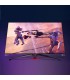 مانیتور گیمینگ 65 اینچی ایسوس مدل MONITOR ASUS ROG SWIFT PG65UQ